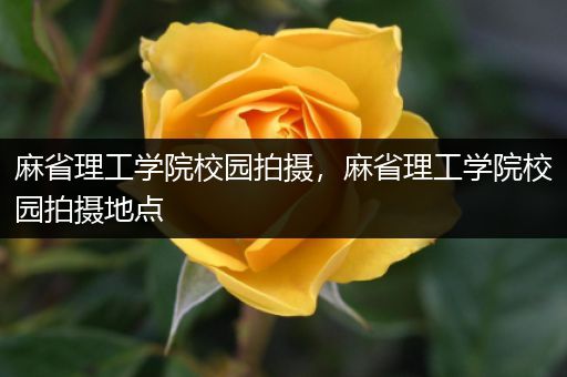 麻省理工学院校园拍摄，麻省理工学院校园拍摄地点