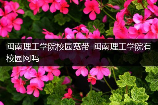 闽南理工学院校园宽带-闽南理工学院有校园网吗