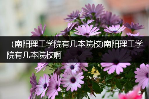 （南阳理工学院有几本院校)南阳理工学院有几本院校啊