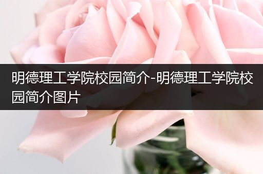 明德理工学院校园简介-明德理工学院校园简介图片
