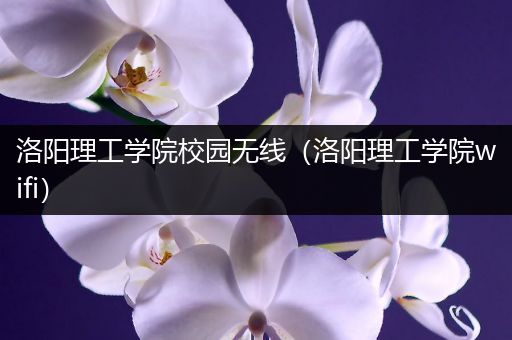 洛阳理工学院校园无线（洛阳理工学院wifi）
