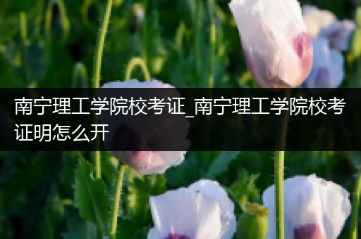 南宁理工学院校考证_南宁理工学院校考证明怎么开