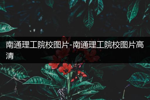 南通理工院校图片-南通理工院校图片高清