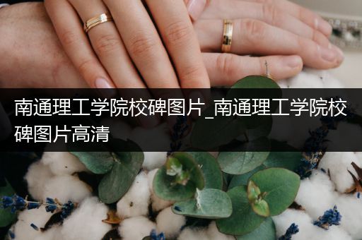 南通理工学院校碑图片_南通理工学院校碑图片高清