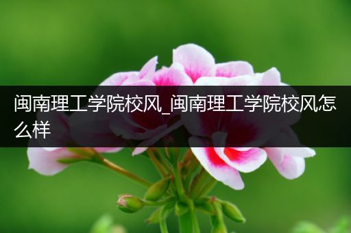 闽南理工学院校风_闽南理工学院校风怎么样