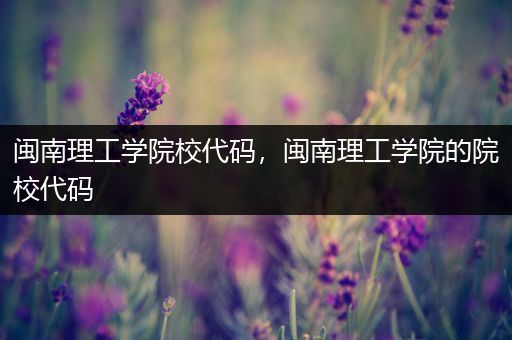 闽南理工学院校代码，闽南理工学院的院校代码
