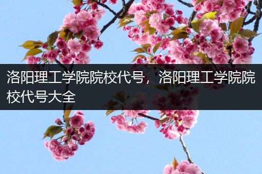 洛阳理工学院院校代号，洛阳理工学院院校代号大全