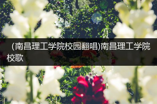 （南昌理工学院校园翻唱)南昌理工学院校歌