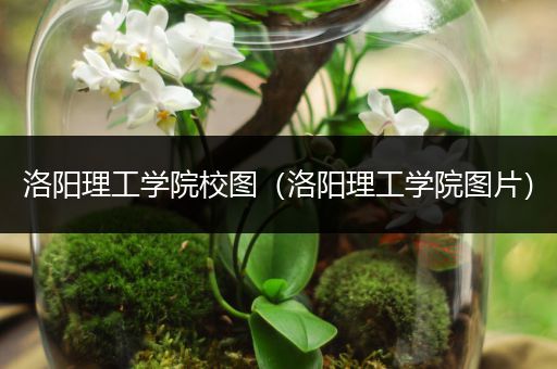 洛阳理工学院校图（洛阳理工学院图片）