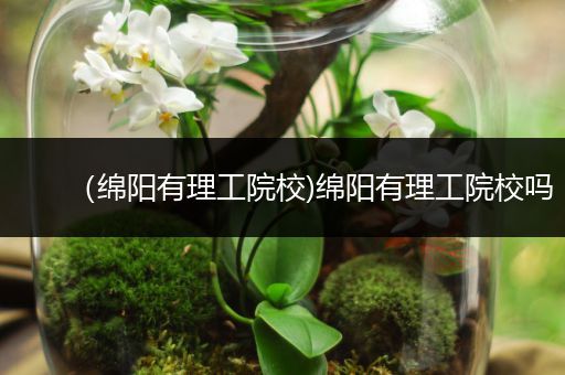 （绵阳有理工院校)绵阳有理工院校吗