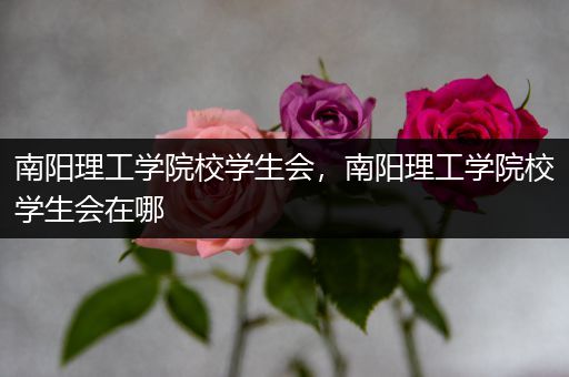 南阳理工学院校学生会，南阳理工学院校学生会在哪