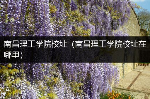 南昌理工学院校址（南昌理工学院校址在哪里）