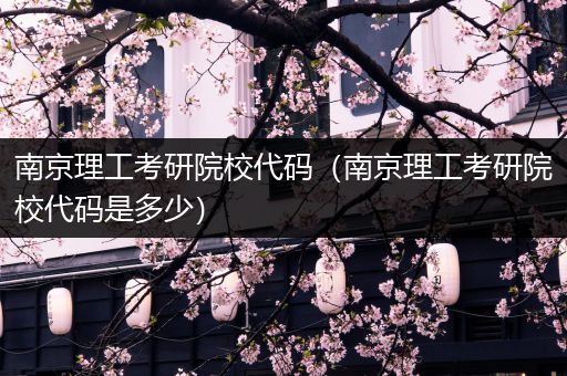 南京理工考研院校代码（南京理工考研院校代码是多少）