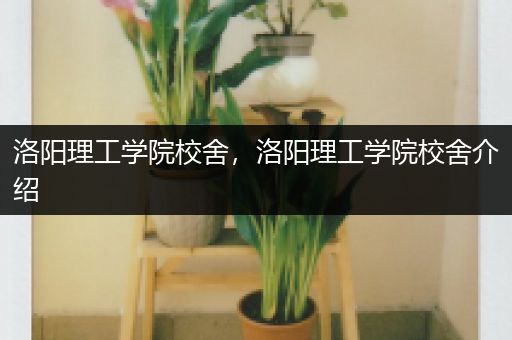 洛阳理工学院校舍，洛阳理工学院校舍介绍