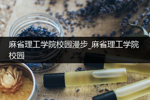 麻省理工学院校园漫步_麻省理工学院 校园