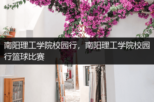南阳理工学院校园行，南阳理工学院校园行篮球比赛