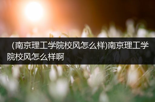 （南京理工学院校风怎么样)南京理工学院校风怎么样啊