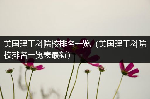 美国理工科院校排名一览（美国理工科院校排名一览表最新）
