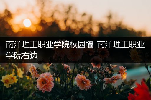南洋理工职业学院校园墙_南洋理工职业学院右边