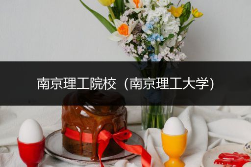 南京理工院校（南京理工大学）