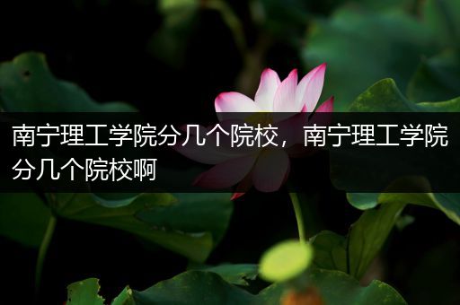 南宁理工学院分几个院校，南宁理工学院分几个院校啊