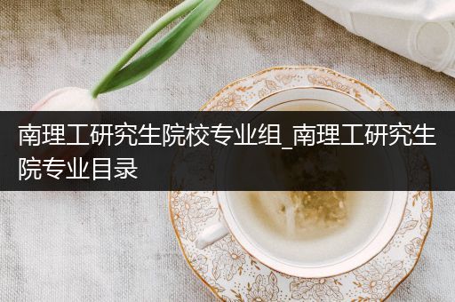南理工研究生院校专业组_南理工研究生院专业目录