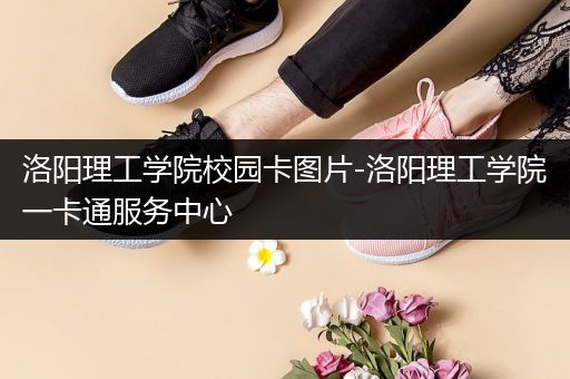 洛阳理工学院校园卡图片-洛阳理工学院一卡通服务中心