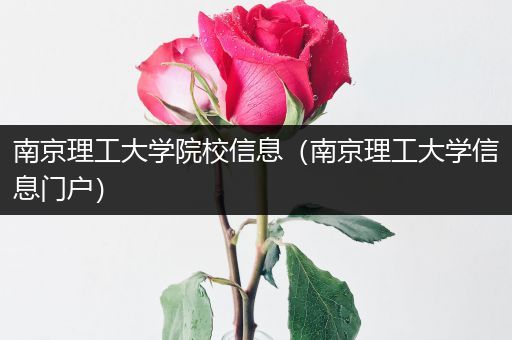 南京理工大学院校信息（南京理工大学信息门户）