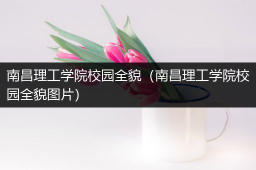 南昌理工学院校园全貌（南昌理工学院校园全貌图片）
