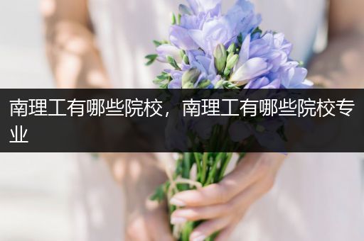 南理工有哪些院校，南理工有哪些院校专业