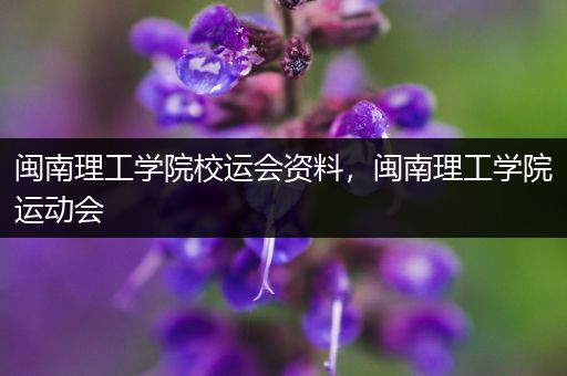 闽南理工学院校运会资料，闽南理工学院运动会