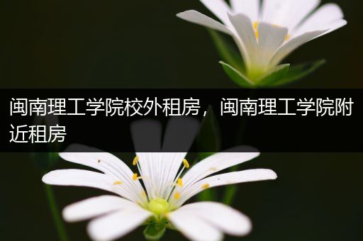 闽南理工学院校外租房，闽南理工学院附近租房