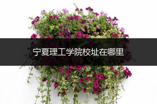 宁夏理工学院校址在哪里