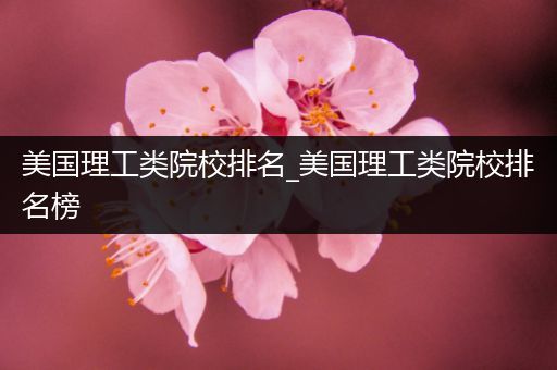 美国理工类院校排名_美国理工类院校排名榜