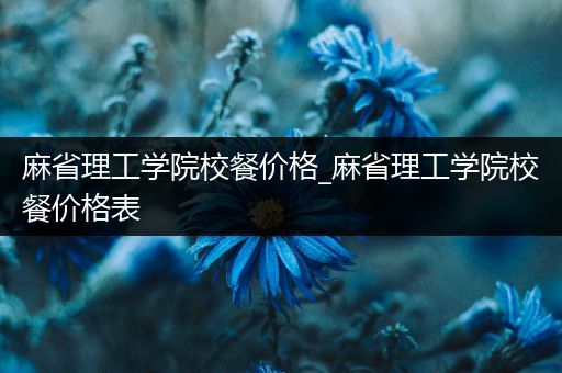 麻省理工学院校餐价格_麻省理工学院校餐价格表