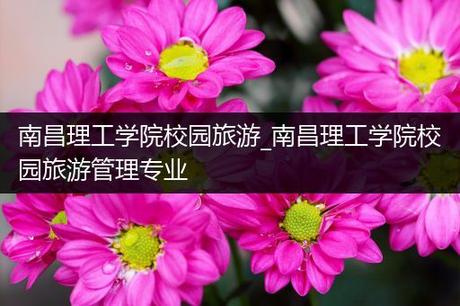 南昌理工学院校园旅游_南昌理工学院校园旅游管理专业