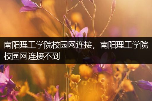 南阳理工学院校园网连接，南阳理工学院校园网连接不到