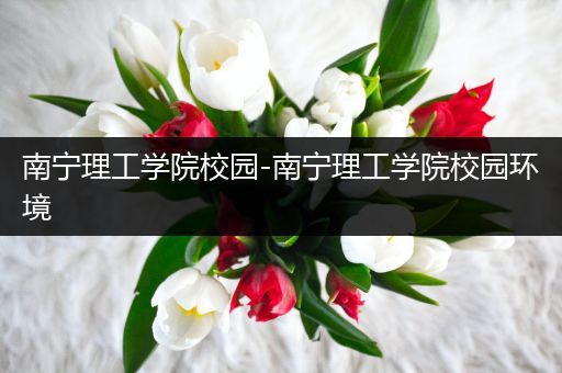 南宁理工学院校园-南宁理工学院校园环境