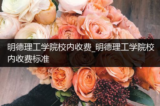 明德理工学院校内收费_明德理工学院校内收费标准