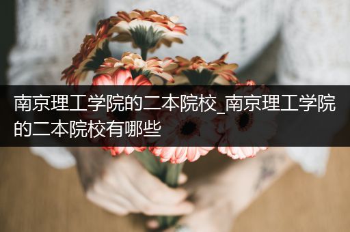 南京理工学院的二本院校_南京理工学院的二本院校有哪些