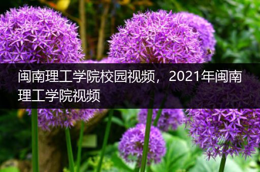 闽南理工学院校园视频，2021年闽南理工学院视频