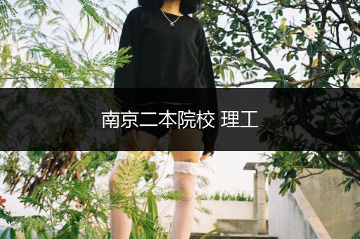 南京二本院校 理工