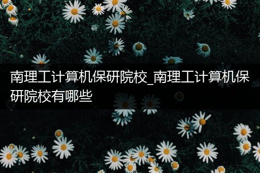 南理工计算机保研院校_南理工计算机保研院校有哪些
