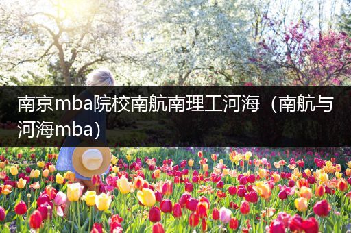 南京mba院校南航南理工河海（南航与河海mba）