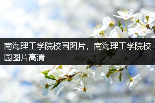 南海理工学院校园图片，南海理工学院校园图片高清