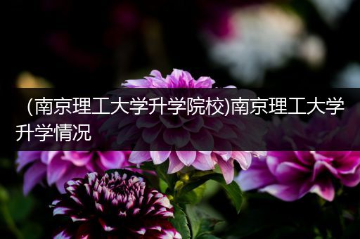 （南京理工大学升学院校)南京理工大学升学情况