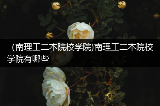（南理工二本院校学院)南理工二本院校学院有哪些