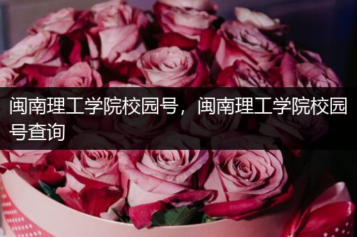 闽南理工学院校园号，闽南理工学院校园号查询