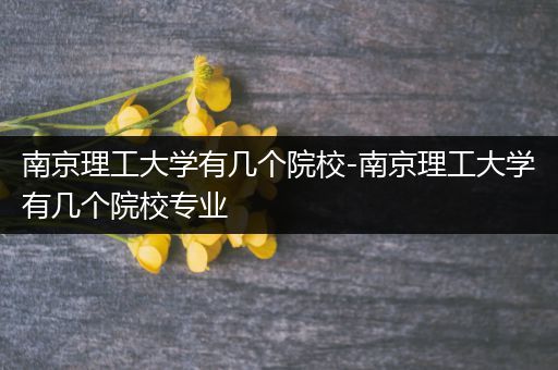 南京理工大学有几个院校-南京理工大学有几个院校专业