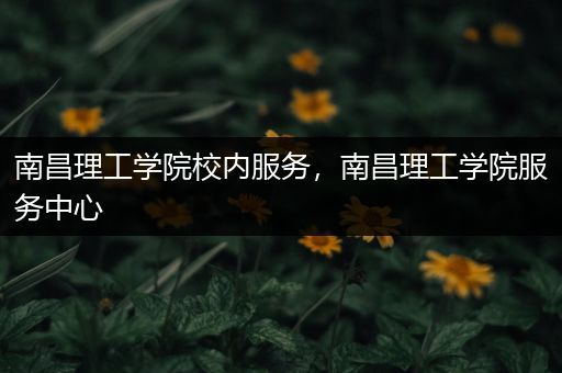 南昌理工学院校内服务，南昌理工学院服务中心